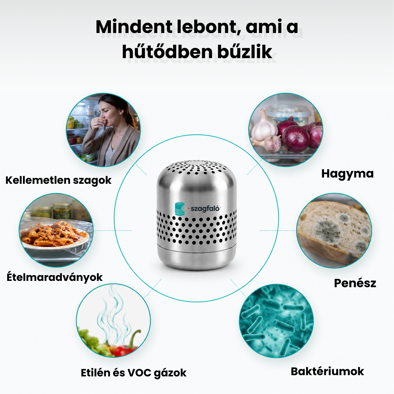 Hűtő-Levegőtisztító